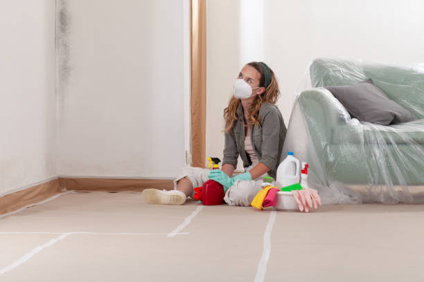 Reliable Mold Inspection And Testing contractor in Stevenson, WA by Car Mold Remediation